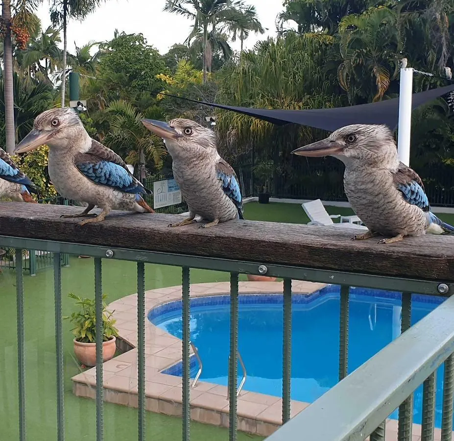 Dom wakacyjny Magnetic Island Resort, Sleeps 3, Free Wifi Nelly Bay Australia
